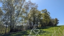 PXL_20260428_132137187.jpg
