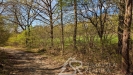 PXL_20260428_133447537.jpg