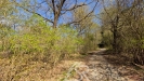 PXL_20260428_133539630.jpg