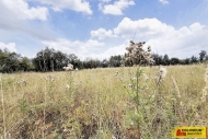 Prodej pozemku , ur�en� k v�stavb� RD, Sebranice (okres Blansko)