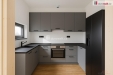 Vizualizace