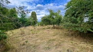 Prodej pozemku , ur�en� k v�stavb� RD, Bl��ejov, Malonice (okres Doma�lice)