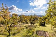 Prodej pozemku , zahrada, Příchovice (okres Plzeň-jih)