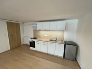 Pron�jem bytu 1+kk, 47 m2, OV, Troskotovice (okres Brno-venkov)