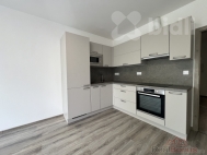 Pron�jem bytu 1+kk, 37 m2, OV, Olomouc, Ne�ed�n, ul. Fri�tensk�ho