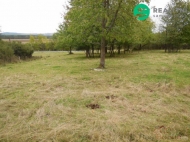 Prodej pozemku , určený k výstavbě RD, Konstantinovy Lázně, Dlouhé Hradiště (okres Tachov)