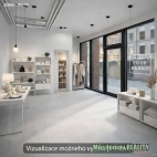 Pron�jem komer�n�ho objektu : Obchodn� centrum, Praha 3, �i�kov