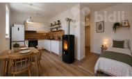 Pron�jem bytu 1+kk, 0 m2, OV, �esk� T��n (okres Karvin�), ul. Bezru�ova