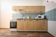Pron�jem bytu 1+1, 32 m2, OV, Trmice (okres �st� nad Labem)