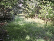 Prodej pozemku , zahrada, Brno (okres Brno-město) - exkluzivně