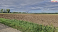 Prodej pozemku , určený pro komerční výstavbu, Malešovice (okres Brno-venkov)