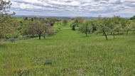 Prodej rekrea�n�ho objektu, Sivice (okres Brno-venkov)