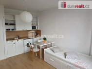 Pron�jem bytu 1+kk, 22 m2, OV, �st� nad Labem, �st� nad Labem-centrum, ul. Ho�en�