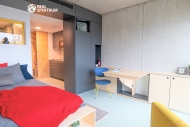 Pron�jem bytu 1+kk, 24 m2, OV, Brno, Trnit� (okres Brno-m�sto), ul. Dornych