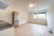 Pron�jem bytu 2+kk, 47 m2, OV, Praha 9, Let�any, ul. Tou�imsk�