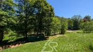 Prodej pozemku , určený k výstavbě RD, Rejštejn, Klášterský Mlýn (okres Klatovy)