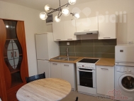 Pronájem bytu 2+kk, 0 m2, OV, Čížkrajice, Boršíkov (okres České Budějovice)