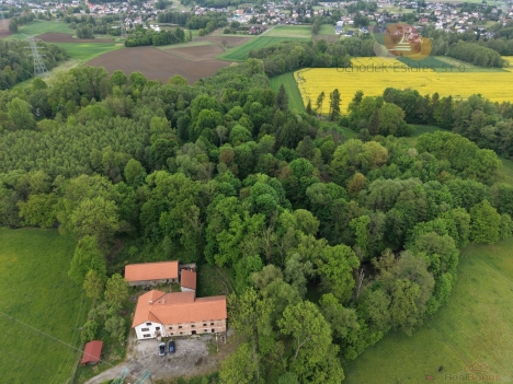 DJI_20260513161913_0080_D.JPG