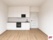 Pron�jem bytu 2+kk, 48 m2, OV, Praha 2, Vinohrady, ul. Na Folimance - exkluzivn�