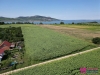 dron 95001