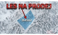 Prodej pozemku , les, Velk� Hamry, Bohdalovice (okres Jablonec nad Nisou)