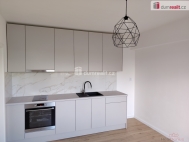 Pron�jem bytu 2+kk, 33 m2, OV, D���n, D���n III-Star� M�sto, ul. Zelen�