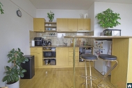 Pron�jem bytu 1+kk, 33 m2, OV, Praha 10, Z�b�hlice, ul. Z�b�hlick� - exkluzivn�