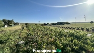 Pron�jem, �atov (okres Znojmo)