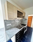 Prodej bytu 1+1, 0 m2, OV, Vod�any, Vod�any II (okres Strakonice), ul. V�stavn�