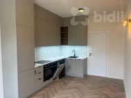 Pron�jem bytu 2+kk, 50 m2, OV, Praha 3, �i�kov, ul. Bo�ivojova