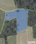 Prodej pozemku , zemědělská půda, Staré Křečany (okres Děčín)