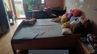Pron�jem bytu atypick�, 0 m2, OV, Praha 5, Radot�n, ul. Sob�tick�