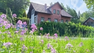 Prodej samostatného RD, 105 m2, Srní (okres Klatovy)