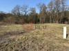 IMG_2659.jpeg