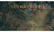Prodej pozemku , les, Tanvald, �umburk nad Desnou (okres Jablonec nad Nisou) - exkluzivn�