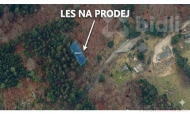 Prodej pozemku , les, Tanvald, Šumburk nad Desnou (okres Jablonec nad Nisou) - exkluzivně