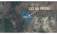 Prodej pozemku , les, Tanvald, Šumburk nad Desnou (okres Jablonec nad Nisou) - exkluzivně