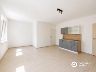 Prodej bytu 1+kk, 28 m2, OV, Brno, �idenice (okres Brno-m�sto), ul. Vini�n� - exkluzivn�