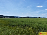 Prodej pozemku , zem�d�lsk� p�da, Letovice (okres Blansko)