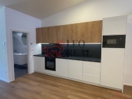 Pron�jem bytu 1+kk, 0 m2, OV, Rost�nice-Zvonovice, Zvonovice (okres Vy�kov)