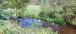 IMG_19.jpeg