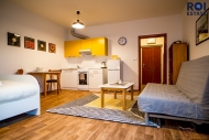 Pronájem bytu 1+kk, 41 m2, OV, Brno, Štýřice (okres Brno-město), ul. Vídeňská