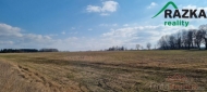 Prodej pozemku , zemědělská půda, Ctiboř, Březí (okres Tachov)