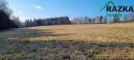 Prodej pozemku , zem�d�lsk� p�da, Hal�e, Svobodka (okres Tachov)