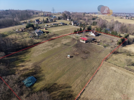 DJI_20260305094546_0018_D_U.jpg