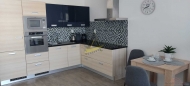 Pron�jem bytu 1+kk, 57 m2, OV, �esk� Bud�jovice, �esk� Bud�jovice 3, ul. J�rovcova