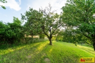 Prodej pozemku , zvláštní, Blučina (okres Brno-venkov)