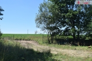 Prodej pozemku , určený k výstavbě RD, Loukovec (okres Mladá Boleslav)