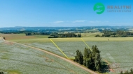 Prodej pozemku 40 000 m2, zemědělská půda, Prosečné (okres Trutnov)