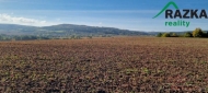 Prodej pozemku , zem�d�lsk� p�da, Lubenec, Libkovice (okres Louny)